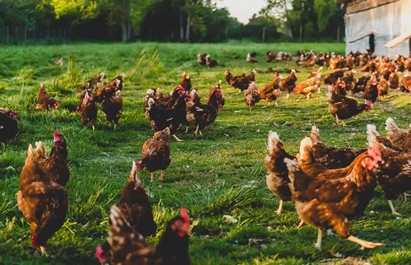 ¿Rentabilidad a cualquier precio?, ¡decimos NO!